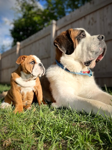 Cudahy Veterinary Clinic