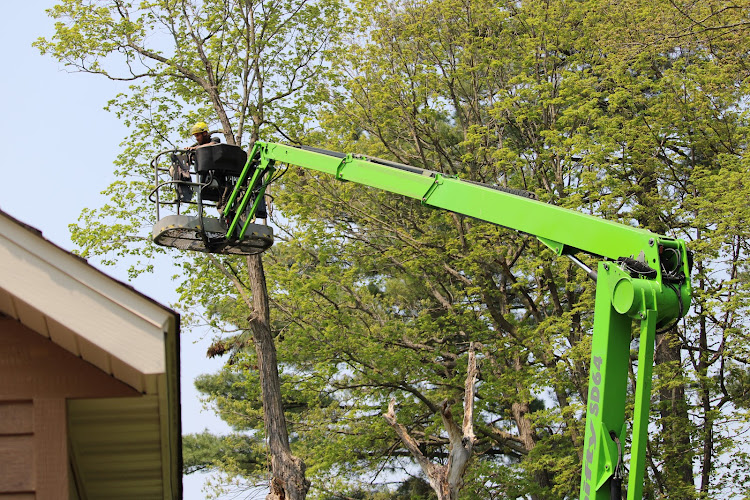 Toenyan Tree Service LLC