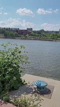 Harriet Island Regional Park by null