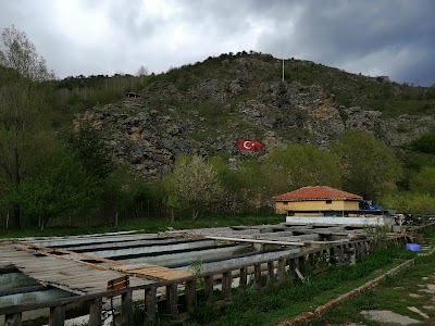 Kargı Tatil Köyü