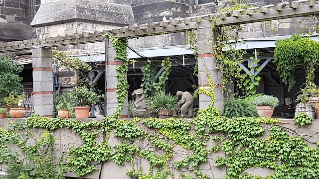 Musée romain-germanique
