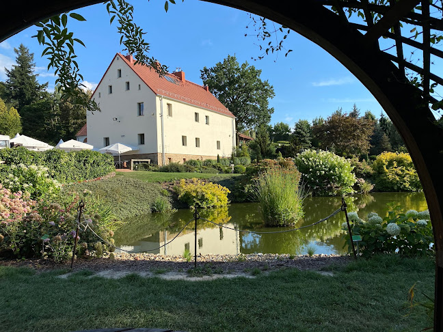 Arboretum Wojsławice - Organizator imprez