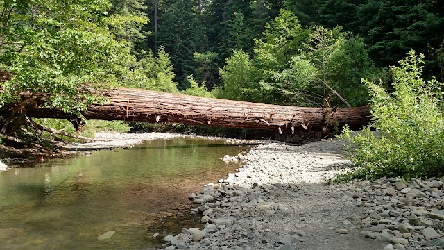 Parc d'État de Humboldt Redwoods