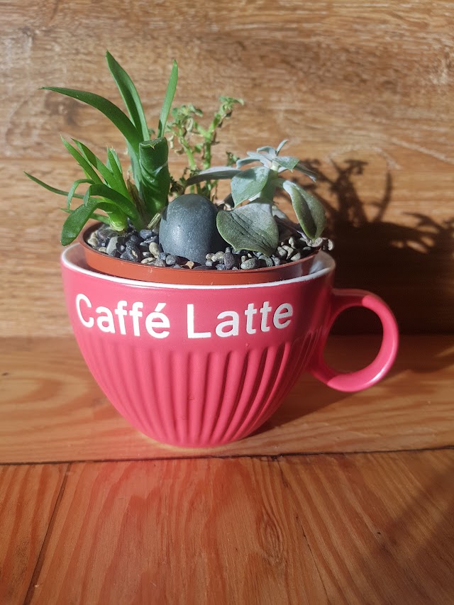 Caffè Mira