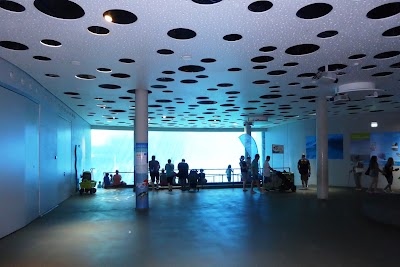 Photos of Dolphinarium in the zoo of Nuremberg