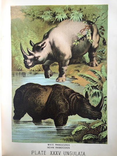 Rhino Booksellers