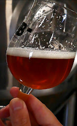 Photo n°12 de Brasserie Naturelle des Landes à Lit-et-Mixe (Microbrasserie)