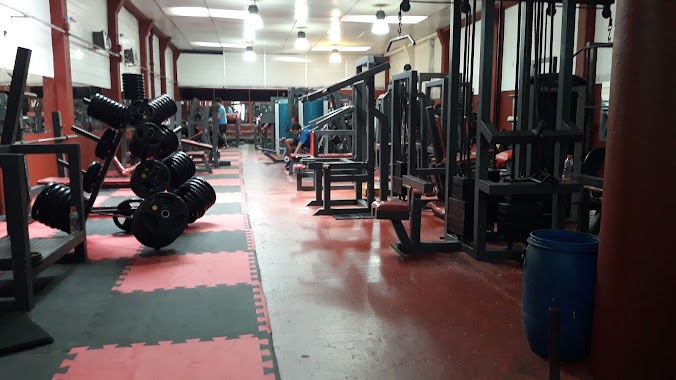 Gimnasio Vikingo, Author: Emiliano Heredia