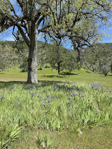 Eleven Roses Ranch Gallery - United States