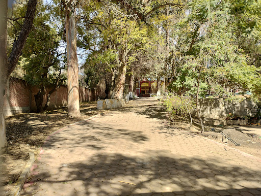 Xochitla - Visual