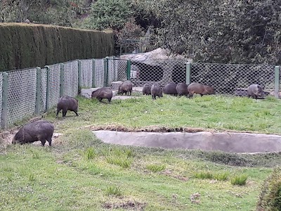 Photos of Parque Jaime Duque