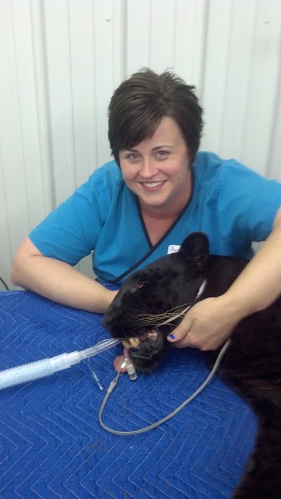 Photos of Pine Valley Veterinary Clinic