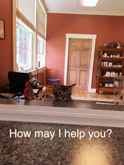 Photos of East Haven Veterinary Service