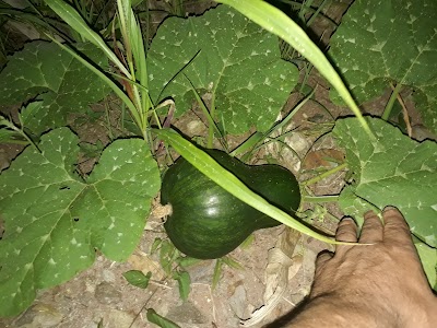 Photos of El Suyate Park