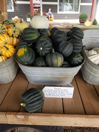 Rinkel Pumpkin Farm - Thumbnail