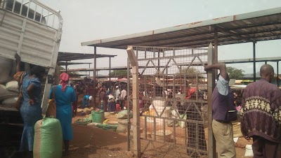Photos of Mineco House Yard 06