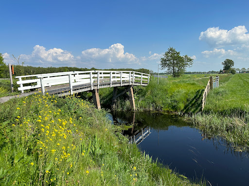 Uitkijkpunt Lytse Wiid Gallery - Netherlands