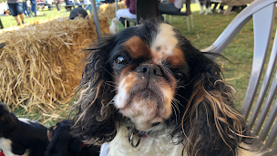 Photo n°1 de Eric Zahra - Clinique Vétérinaire Fondère à Marseille (Vétérinaire)