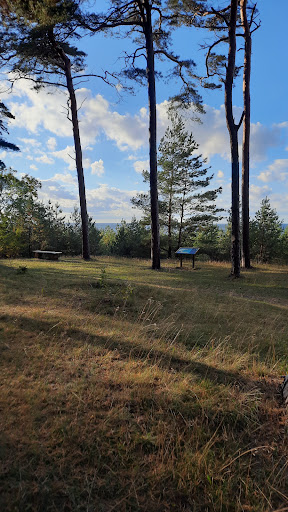 Hundestrand Lubmin - Thumbnail