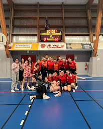 Photo n°1 de LA VITREENNE HANDBALL à Vitré (Club de handball)