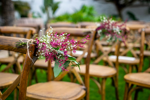 Floristería MISIFU´S HOUSE - Thumbnail