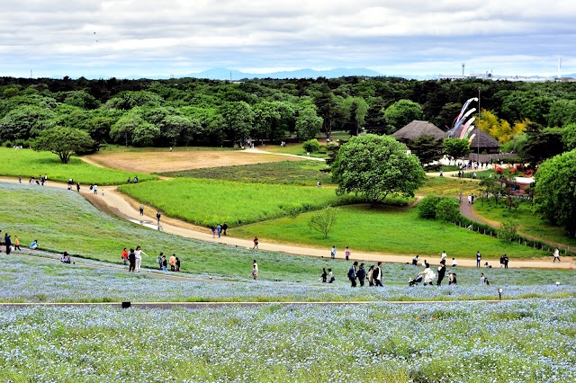 Hitachi Seaside Park