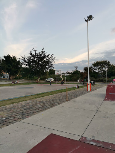 "Vicente Michel" Park