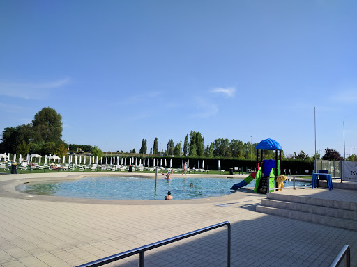 Swimming Altedo - Thumbnail