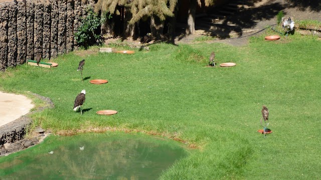 Rancho Texas Lanzarote Park