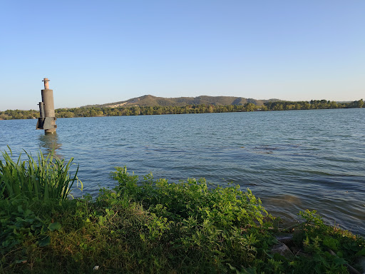 Halte Fluviale