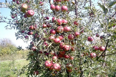 Photos of Kkh Badenko