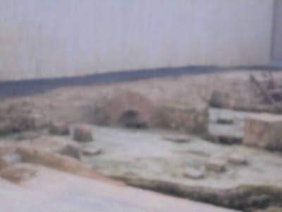 Photos of VRO La Olmeda