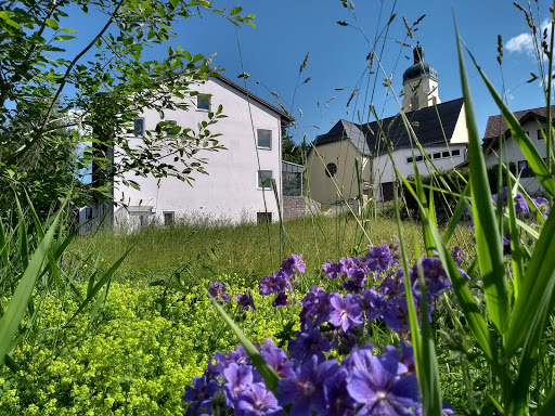 kubis - Kultur & Bildung in Spiegelau - Thumbnail