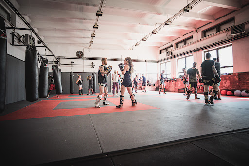 Grizzly Gym Haldensleben - Thumbnail