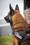 Vigilance à Théding