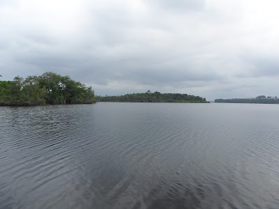 Photos of Conkouati Reserve