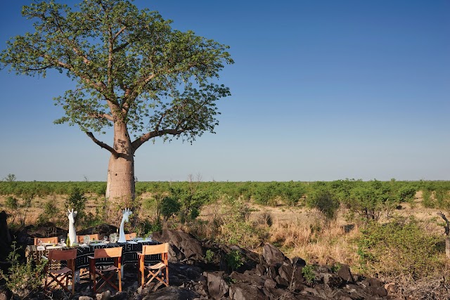 Belmond Savute Elephant Lodge