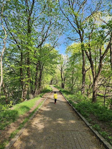 Thames Park - Visual
