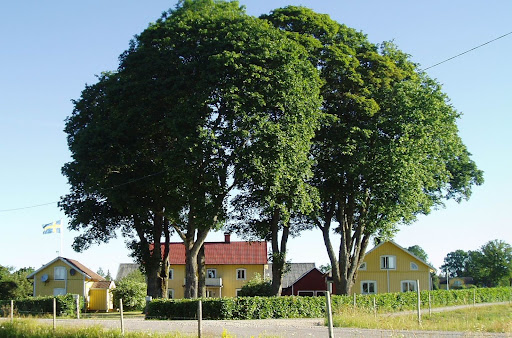 Vegby Bolsgård - Thumbnail
