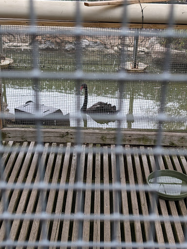 Aussie Aviary - Visual