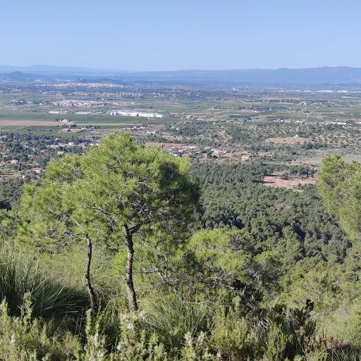 Puntal dels Llops - Thumbnail