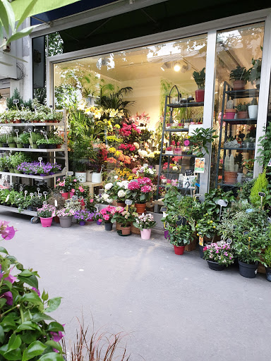 A La Campagne - Fleuriste Boulogne Billancourt