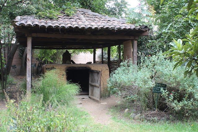 Museo de Medicina Maya