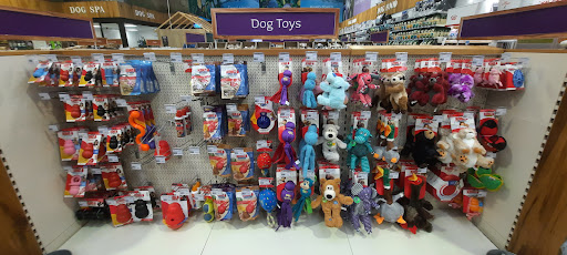 Petstop - Limerick - Thumbnail