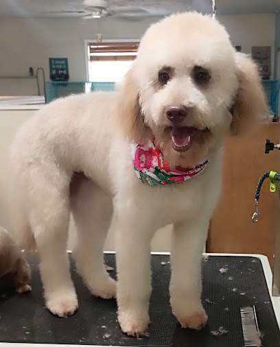 Bark Boutique and Grooming Salon