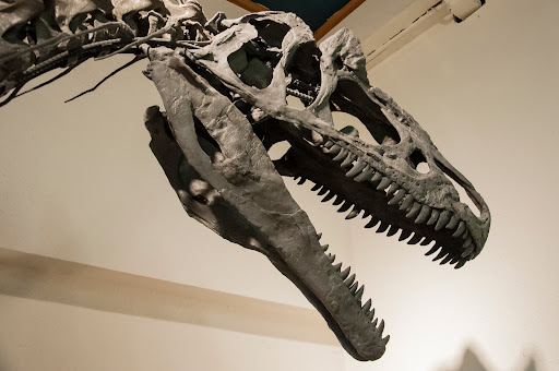 Glenrock Paleon Museum - Thumbnail