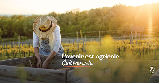 Avatar par défaut pour Miimosa