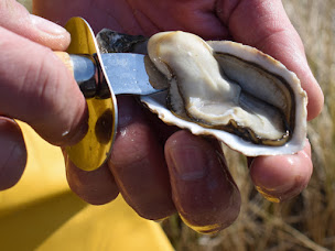 Photo n°4 de Lafosse à Blainville-sur-Mer (Ferme d'aquaculture)