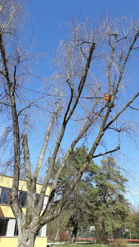 Astrein Baumpflege Augsburg