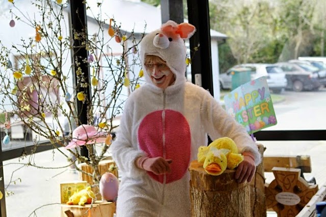 Irish National Heritage Park